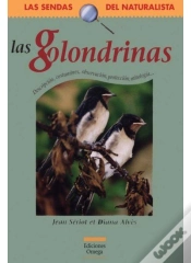 Capa do artigo Las Golondrinas