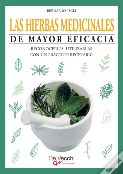 Capa do artigo Las Hierbas Medicinales De Mayor Eficacia