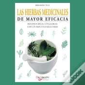 Capa do artigo Las Hierbas Medicinales De Mayor Eficacia
