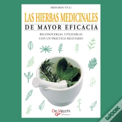 Capa do artigo Las Hierbas Medicinales De Mayor Eficacia