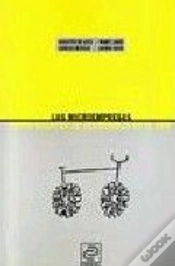 Capa do artigo Las Microempresas Como Agentes De Desarrollo En El Sur