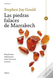 Capa do artigo Las Piedras Falaces De Marrakech