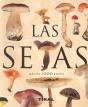Las Setas - Preview
