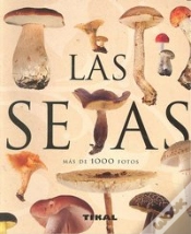 Capa do artigo Las Setas