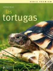 Capa do artigo Las Tortugas