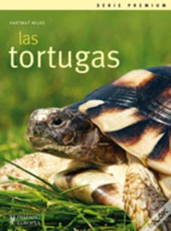 Capa do artigo Las Tortugas