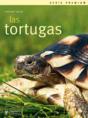 Las Tortugas - Preview