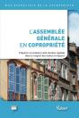 L'Assemblée Générale En Copropriété ; Préparer Et Conduire Cette Réunion Capitale Dans Le Respect Des Textes En Vigueur - Preview