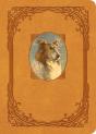 Lassie Come-Home - Preview