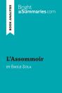 L'Assommoir By Emile Zola (Book Analysis) - Preview
