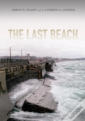 Capa do artigo Last Beach