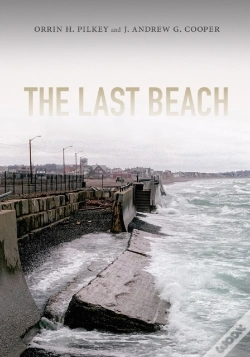 Capa do artigo Last Beach