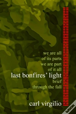 Capa do artigo Last Bonfires' Light