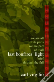 Capa do artigo Last Bonfires