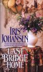 Last Bridge Home - Preview