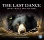 Last Dance - Preview