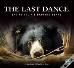Capa do artigo Last Dance
