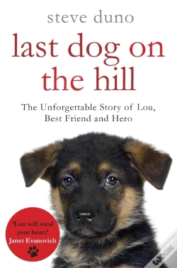 Capa do artigo Last Dog On The Hill