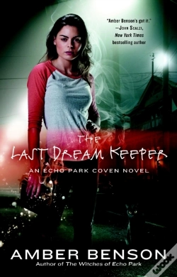 Capa do artigo Last Dream Keeper