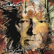 Capa do artigo Last Leaf On the Tree - CD