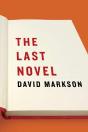 Last Novel - Preview