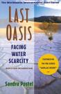 Last Oasis - Preview