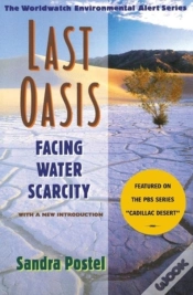 Capa do artigo Last Oasis