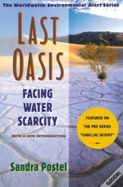 Capa do artigo Last Oasis