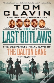 Capa do artigo Last Outlaws