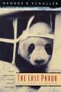 Last Panda - Preview