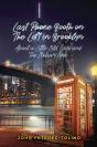 Last Phone Booth On The Left In Brooklyn - Preview