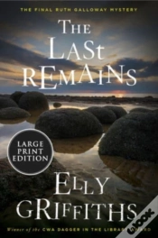 Capa do artigo Last Remains