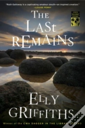 Capa do artigo Last Remains