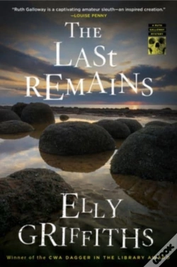 Capa do artigo Last Remains