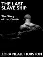 Last Slave Ship - Preview