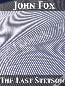 Capa do artigo Last Stetson