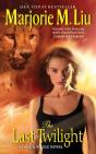 Last Twilight - Preview