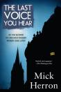 Last Voice You Hear - Preview
