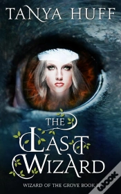Capa do artigo Last Wizard