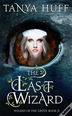 Capa do artigo Last Wizard