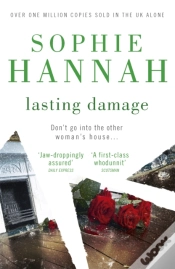 Capa do artigo Lasting Damage