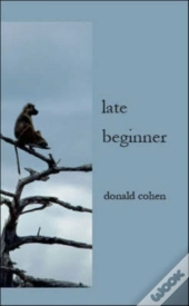 Late Beginner