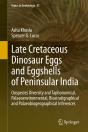 Late Cretaceous Dinosaur Eggs And Eggshells Of Peninsular India - Preview