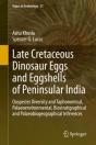 Late Cretaceous Dinosaur Eggs And Eggshells Of Peninsular India - Preview