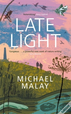 Capa do artigo Late Light