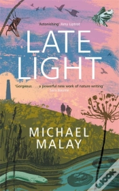 Capa do artigo Late Light