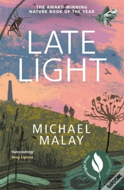 Capa do artigo Late Light