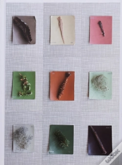 Capa do artigo Late Spring