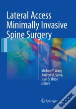 Lateral Access Minimally Invasive Spine Surgery