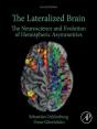 Lateralized Brain - Preview